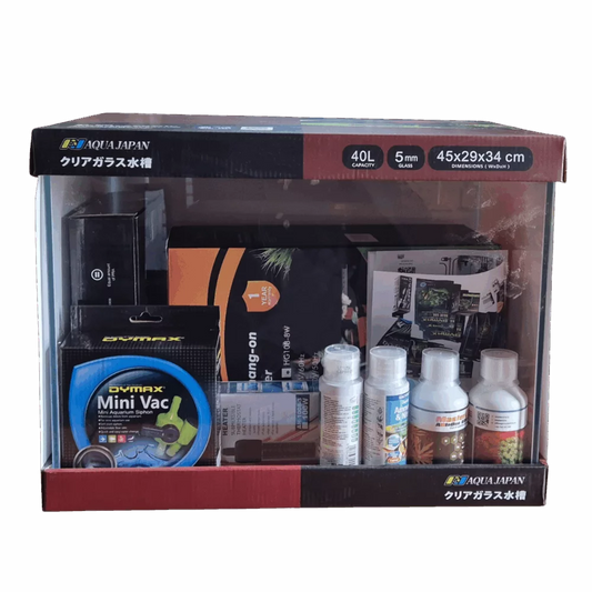 Aqua Japan Starfire Planted Starter KIt