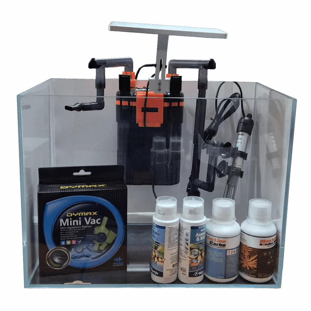 Aqua Japan Starfire Planted Starter KIt