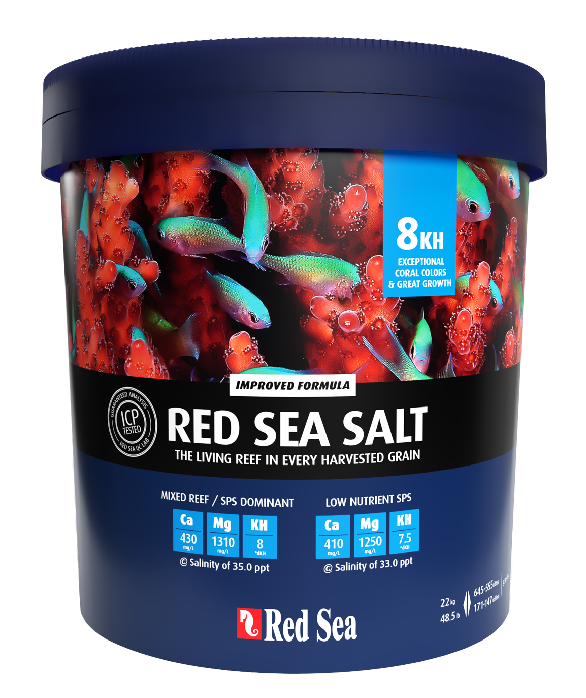 Red Sea Salt